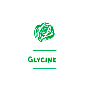 Glycine